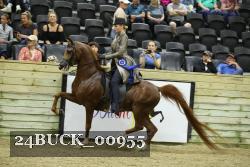 24BUCK_00955 proof