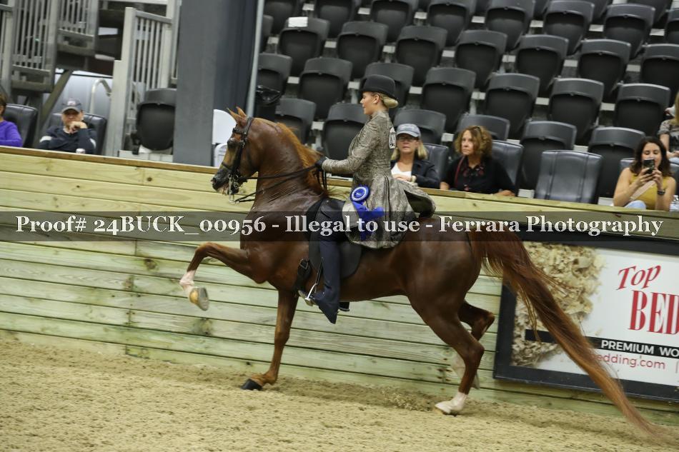 Proof 24BUCK_00956