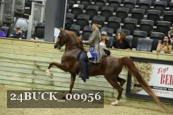 24BUCK_00956 proof