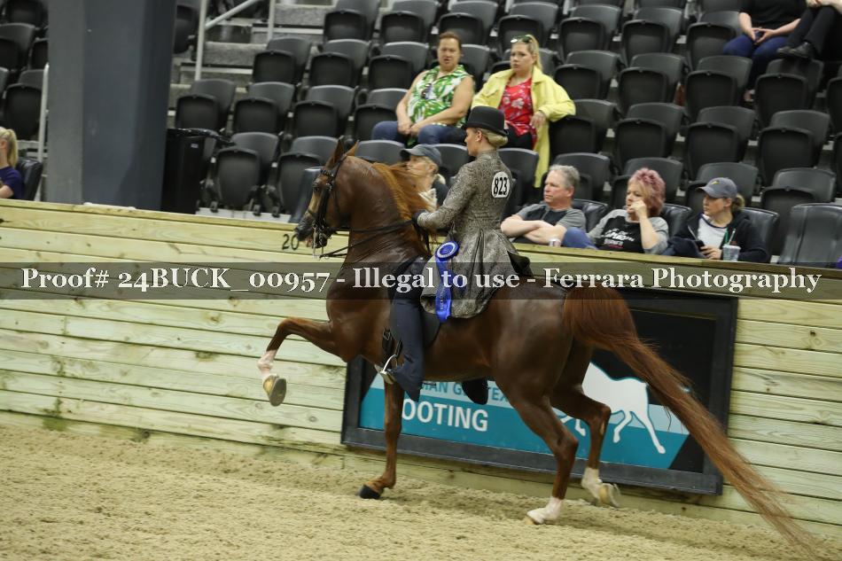 Proof 24BUCK_00957