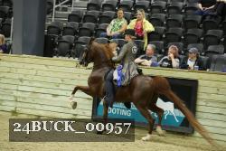 24BUCK_00957 proof