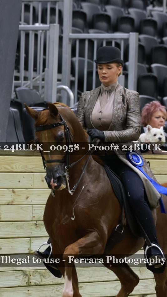 Proof 24BUCK_00958