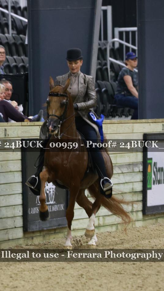 Proof 24BUCK_00959