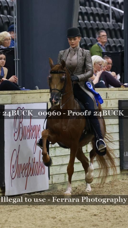Proof 24BUCK_00960