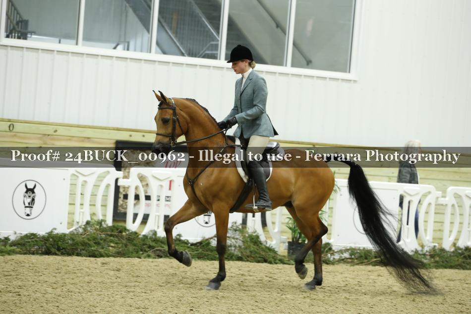 Proof 24BUCK_00962