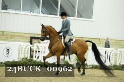 24BUCK_00962 proof