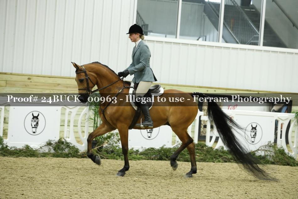 Proof 24BUCK_00963