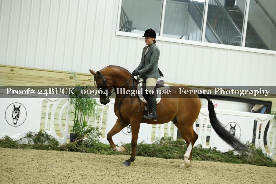 Proof 24BUCK_00964