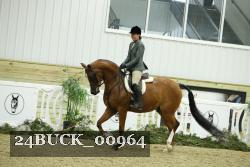 24BUCK_00964 proof