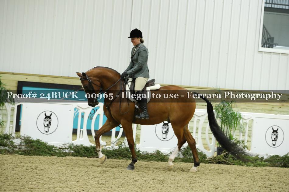 Proof 24BUCK_00965