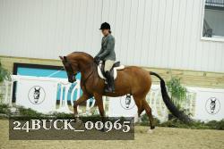 24BUCK_00965 proof