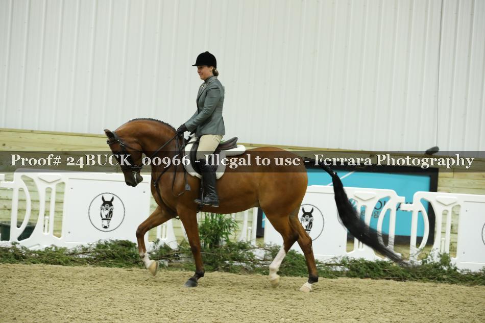 Proof 24BUCK_00966