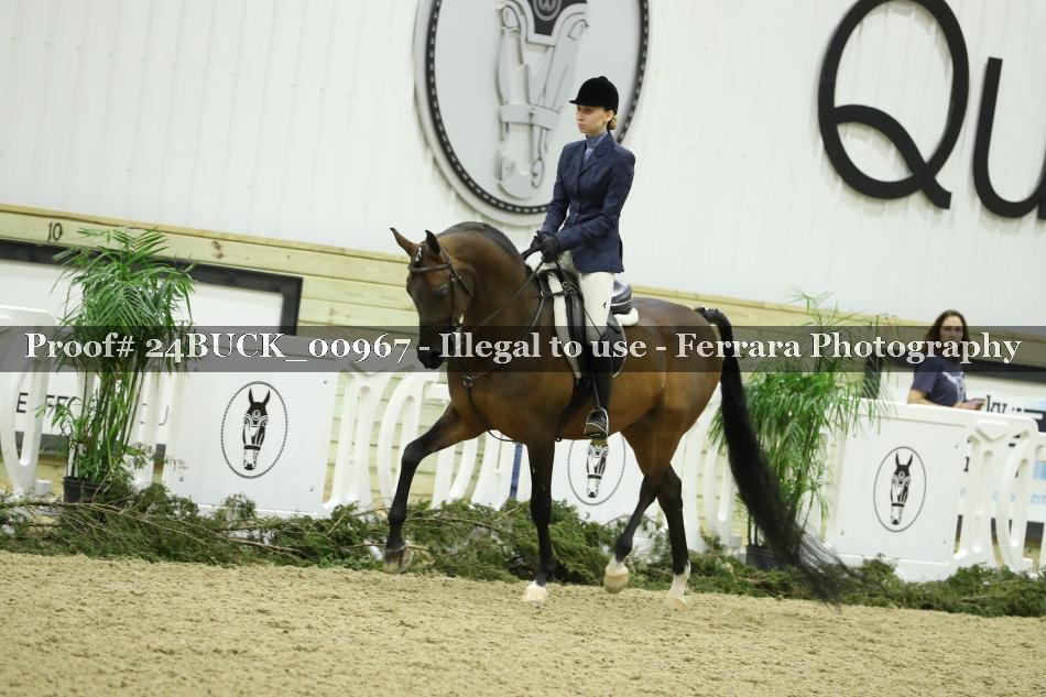 Proof 24BUCK_00967