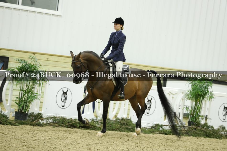 Proof 24BUCK_00968