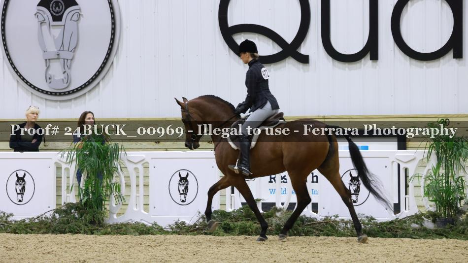 Proof 24BUCK_00969