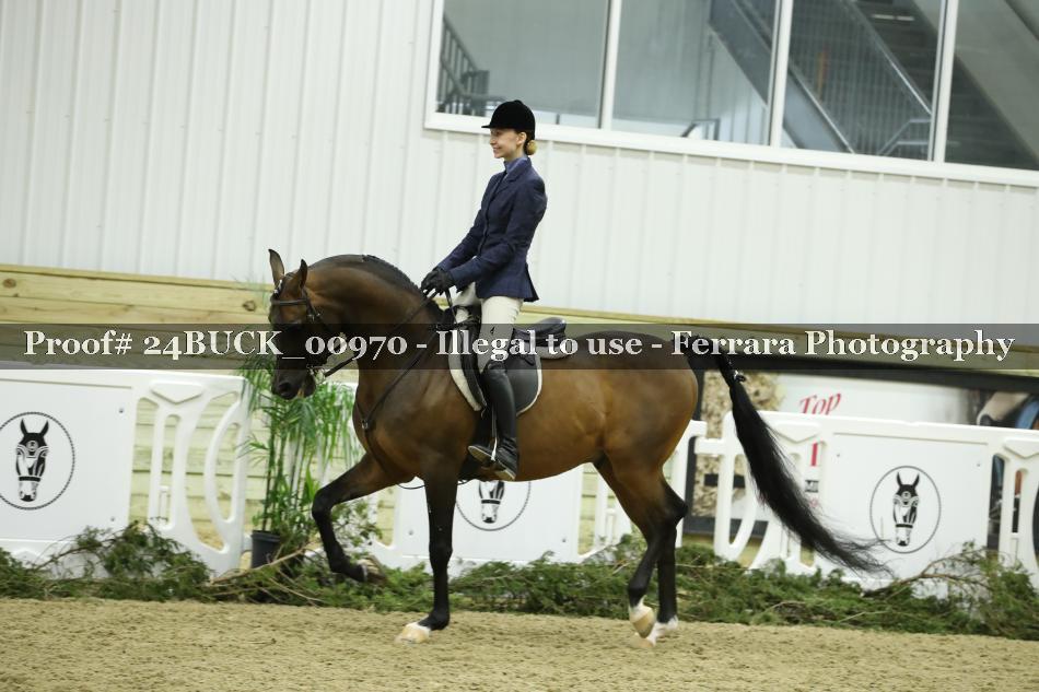 Proof 24BUCK_00970