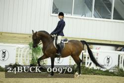 24BUCK_00970 proof