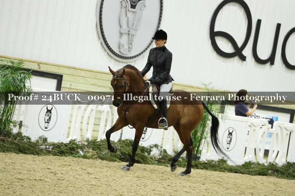Proof 24BUCK_00971