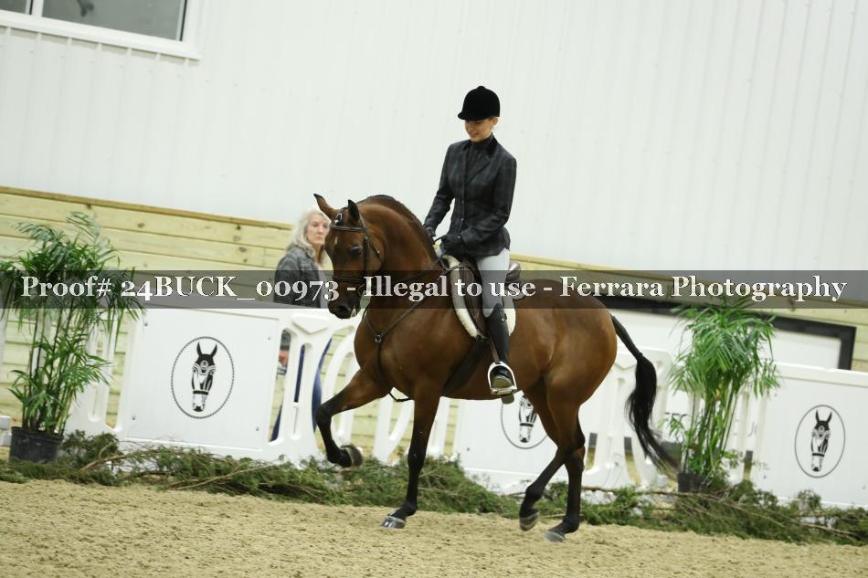 Proof 24BUCK_00973