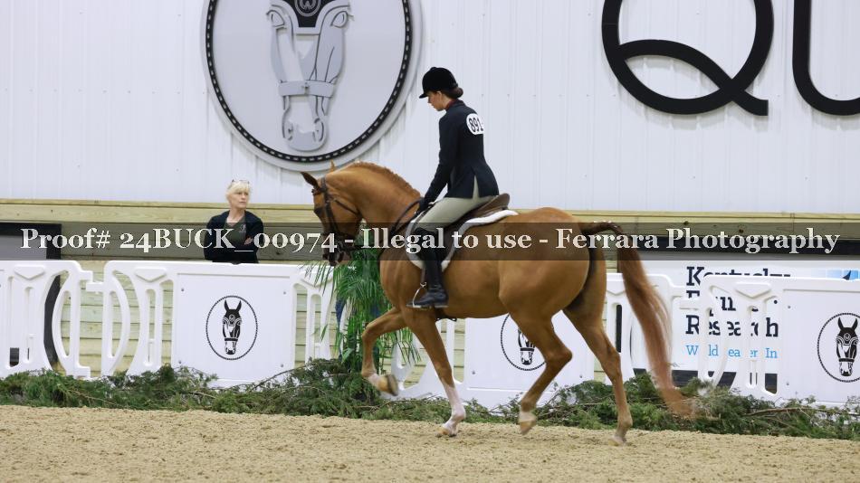 Proof 24BUCK_00974
