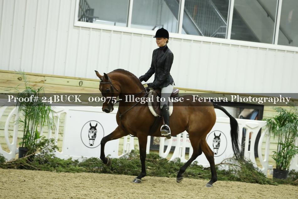 Proof 24BUCK_00975