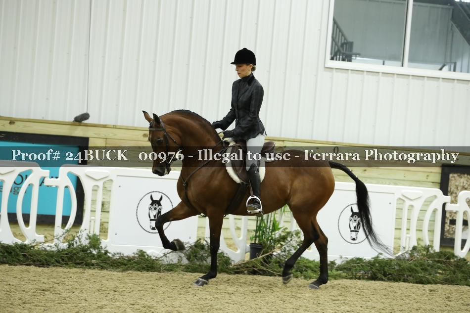 Proof 24BUCK_00976