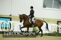 24BUCK_00976 proof