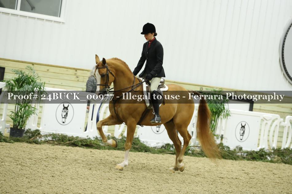 Proof 24BUCK_00977