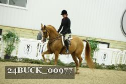 24BUCK_00977 proof