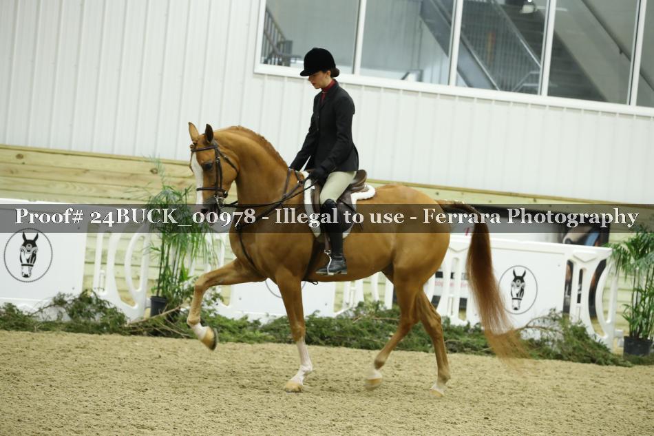 Proof 24BUCK_00978