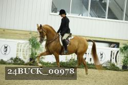 24BUCK_00978 proof