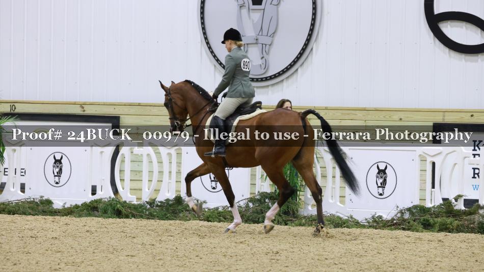 Proof 24BUCK_00979