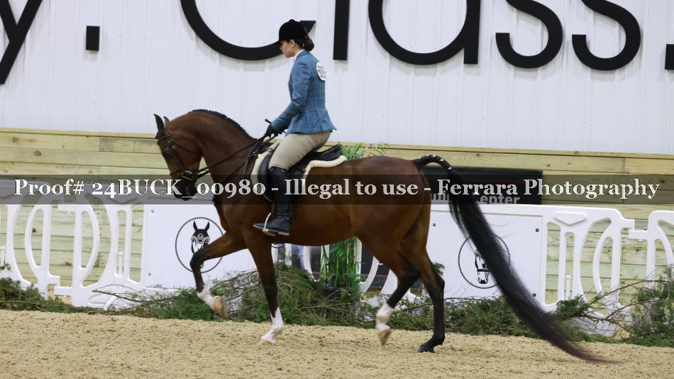 Proof 24BUCK_00980