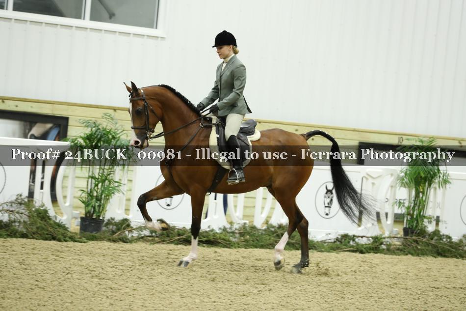 Proof 24BUCK_00981