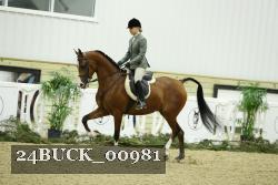 24BUCK_00981 proof