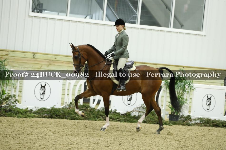 Proof 24BUCK_00982