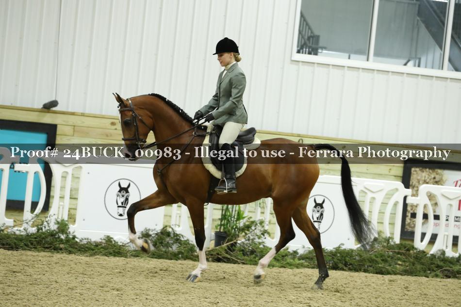 Proof 24BUCK_00983