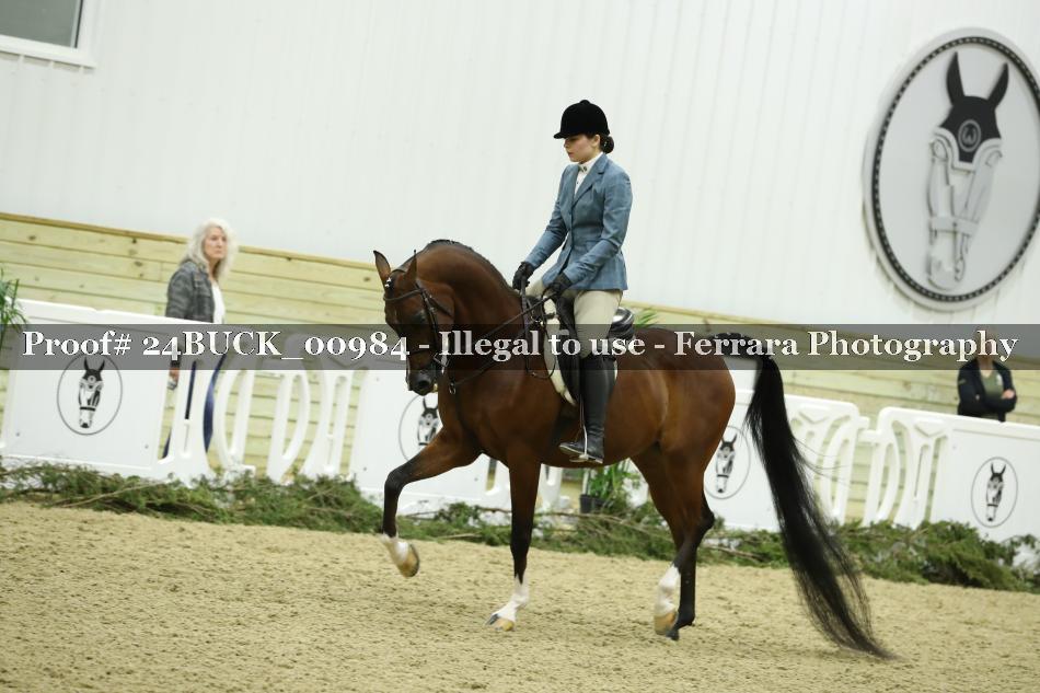 Proof 24BUCK_00984
