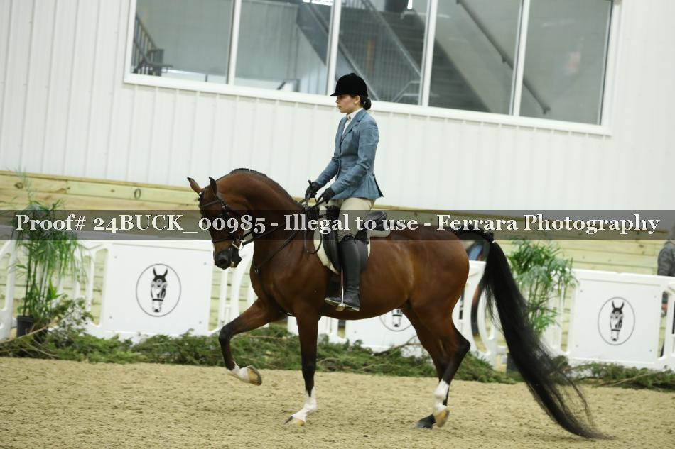 Proof 24BUCK_00985
