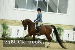 24BUCK_00985 proof
