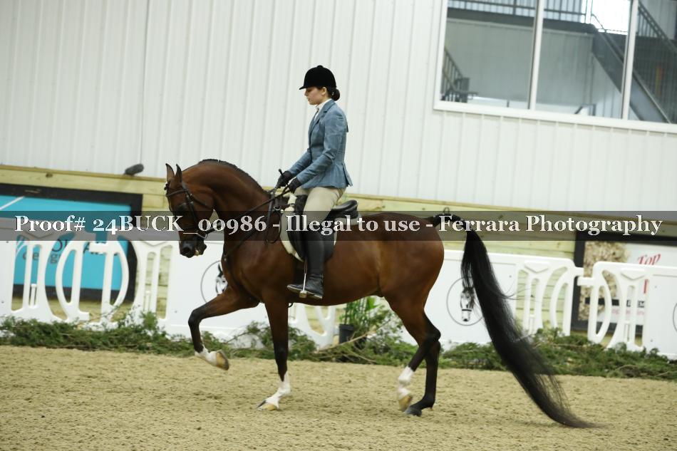 Proof 24BUCK_00986