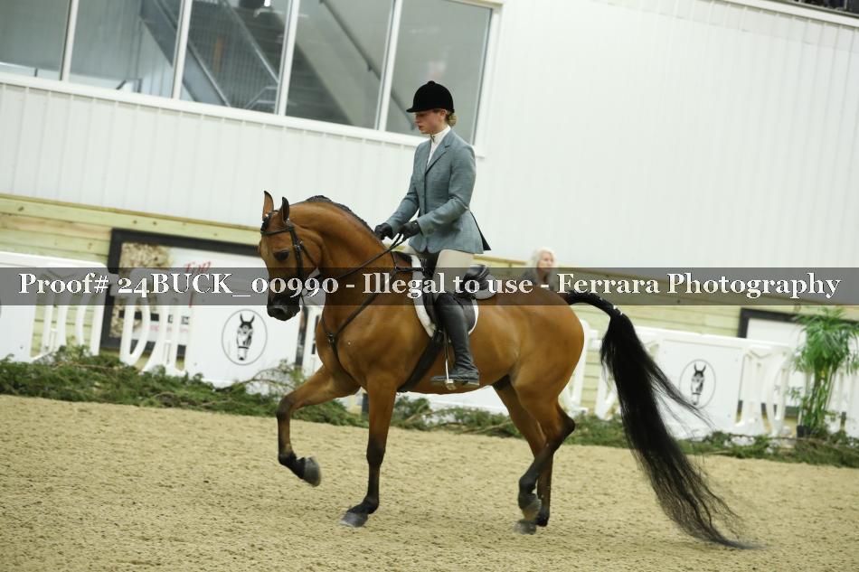 Proof 24BUCK_00990