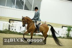 24BUCK_00990 proof