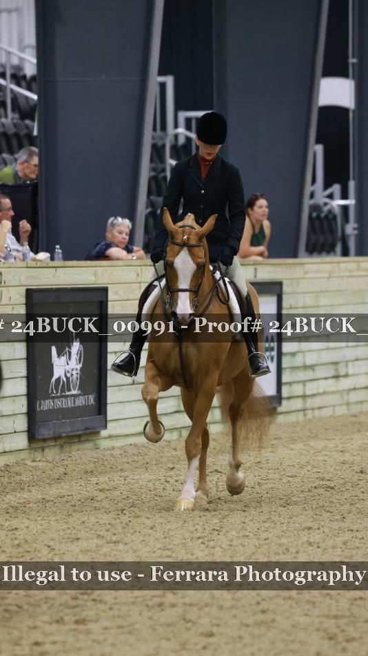 Proof 24BUCK_00991