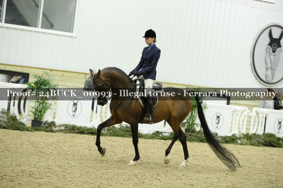 Proof 24BUCK_00993