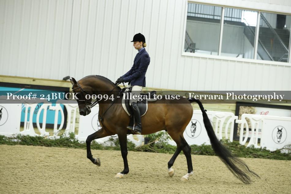 Proof 24BUCK_00994