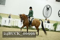 24BUCK_00996 proof