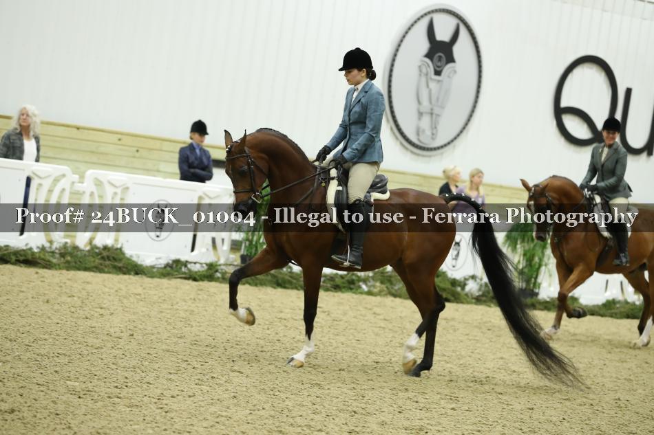 Proof 24BUCK_01004