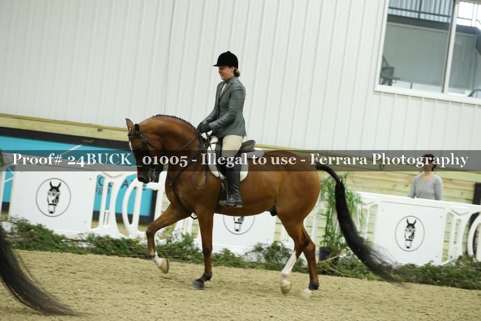 Proof 24BUCK_01005