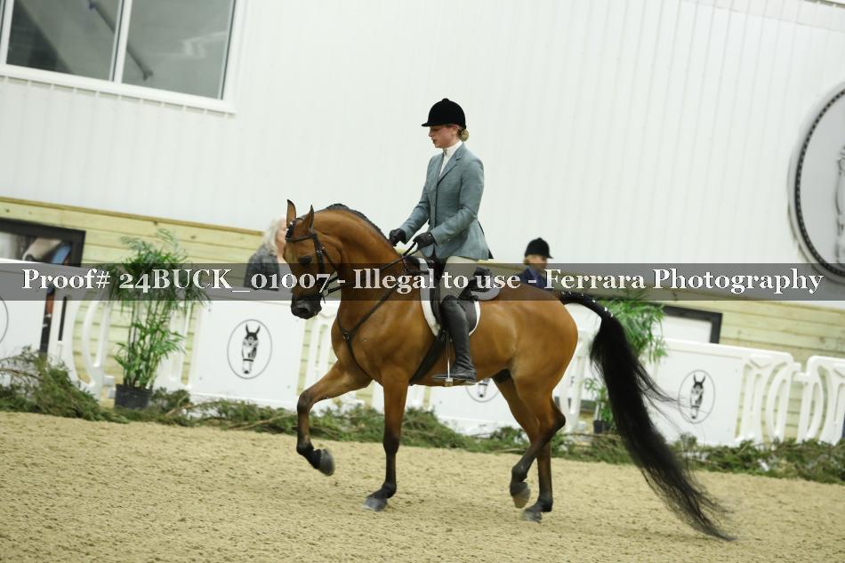 Proof 24BUCK_01007